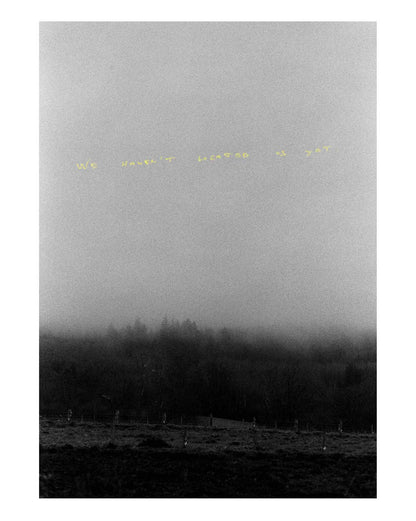 Het werk van Gewoon Thijs "We Haven't Located Us Yet" met een witte rand.